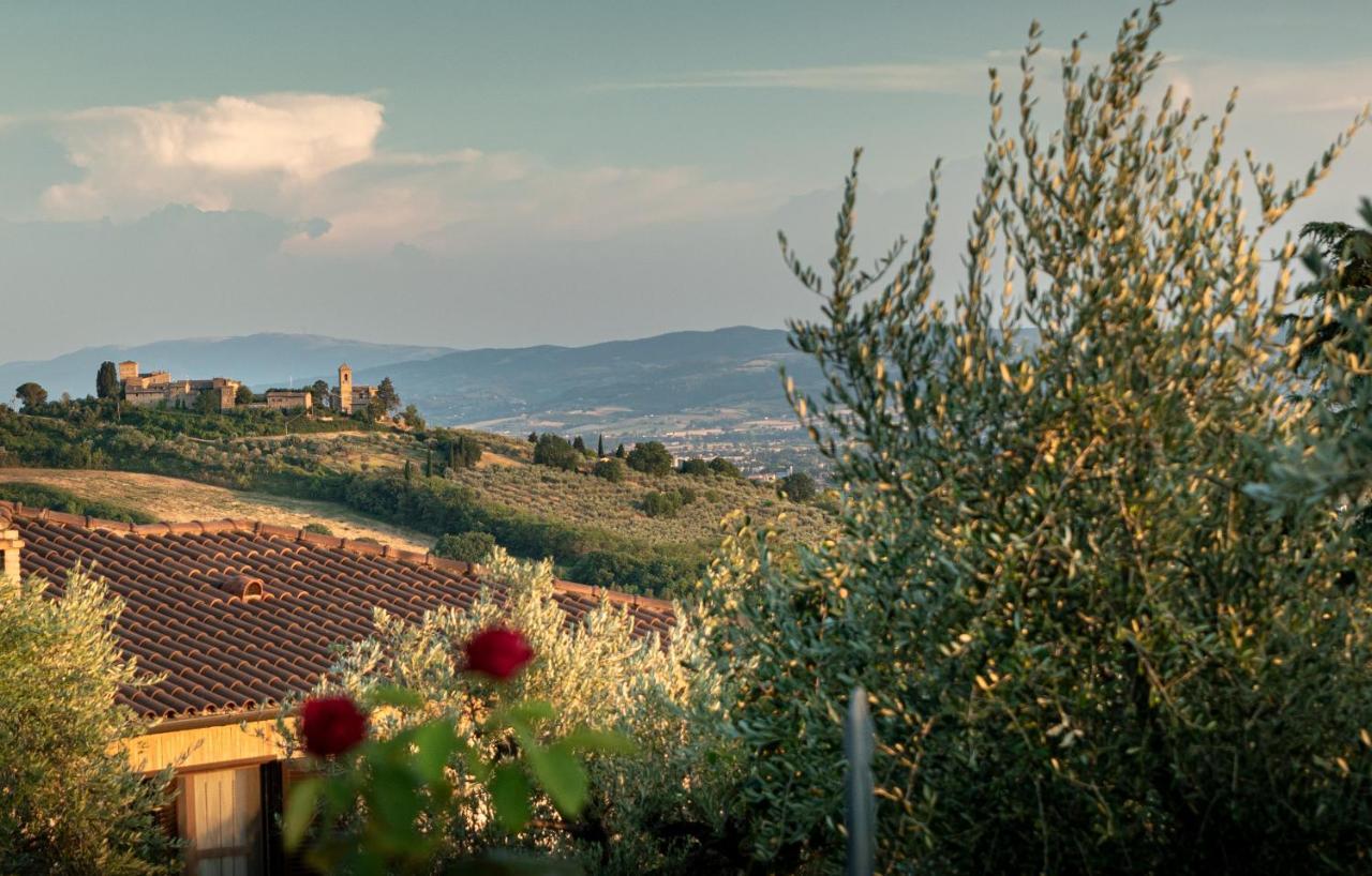 Agriturismo La Rocca Assisi Villa Petrignano Buitenkant foto