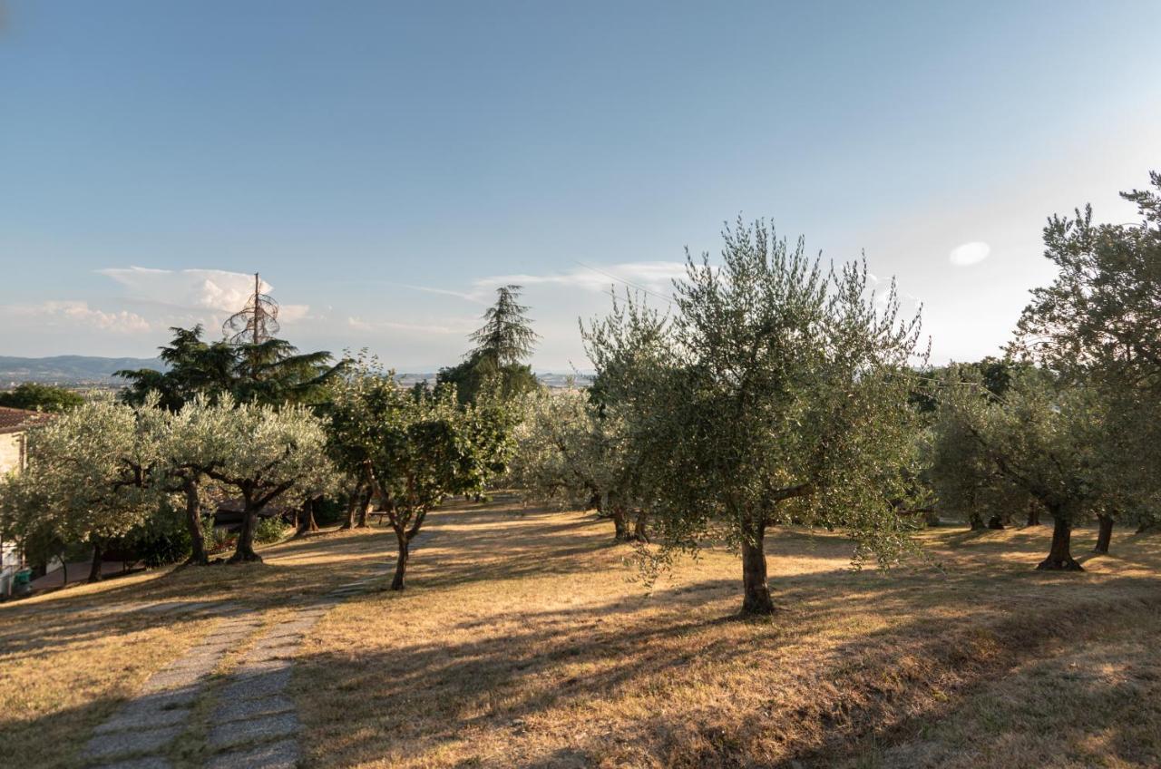 Agriturismo La Rocca Assisi Villa Petrignano Buitenkant foto