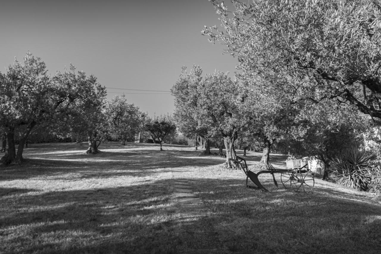 Agriturismo La Rocca Assisi Villa Petrignano Buitenkant foto