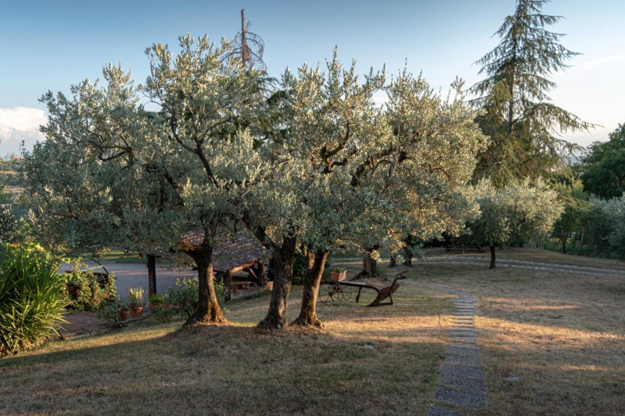 Agriturismo La Rocca Assisi Villa Petrignano Buitenkant foto