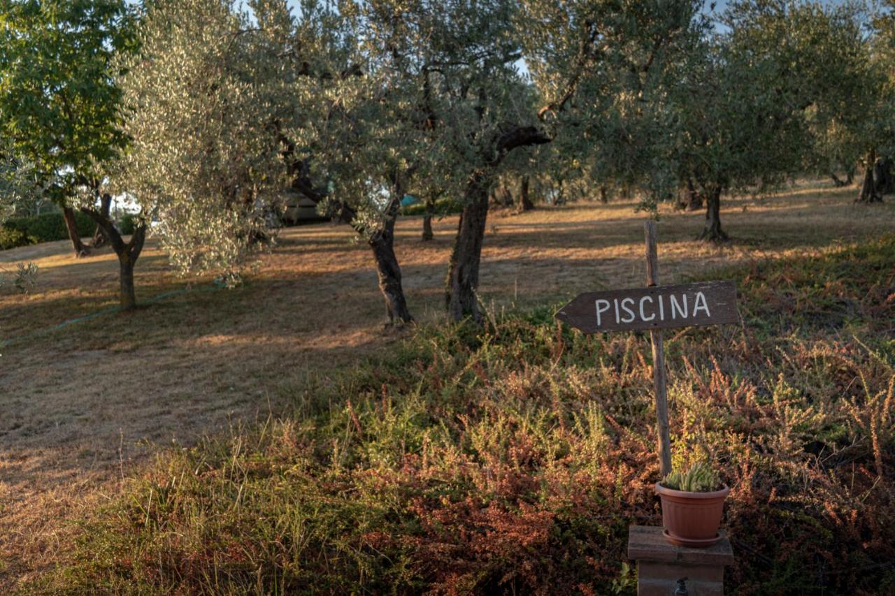 Agriturismo La Rocca Assisi Villa Petrignano Buitenkant foto